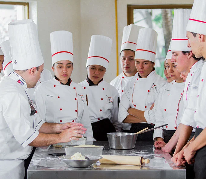 Galería Colegio Culinario